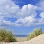 Terschelling duinen